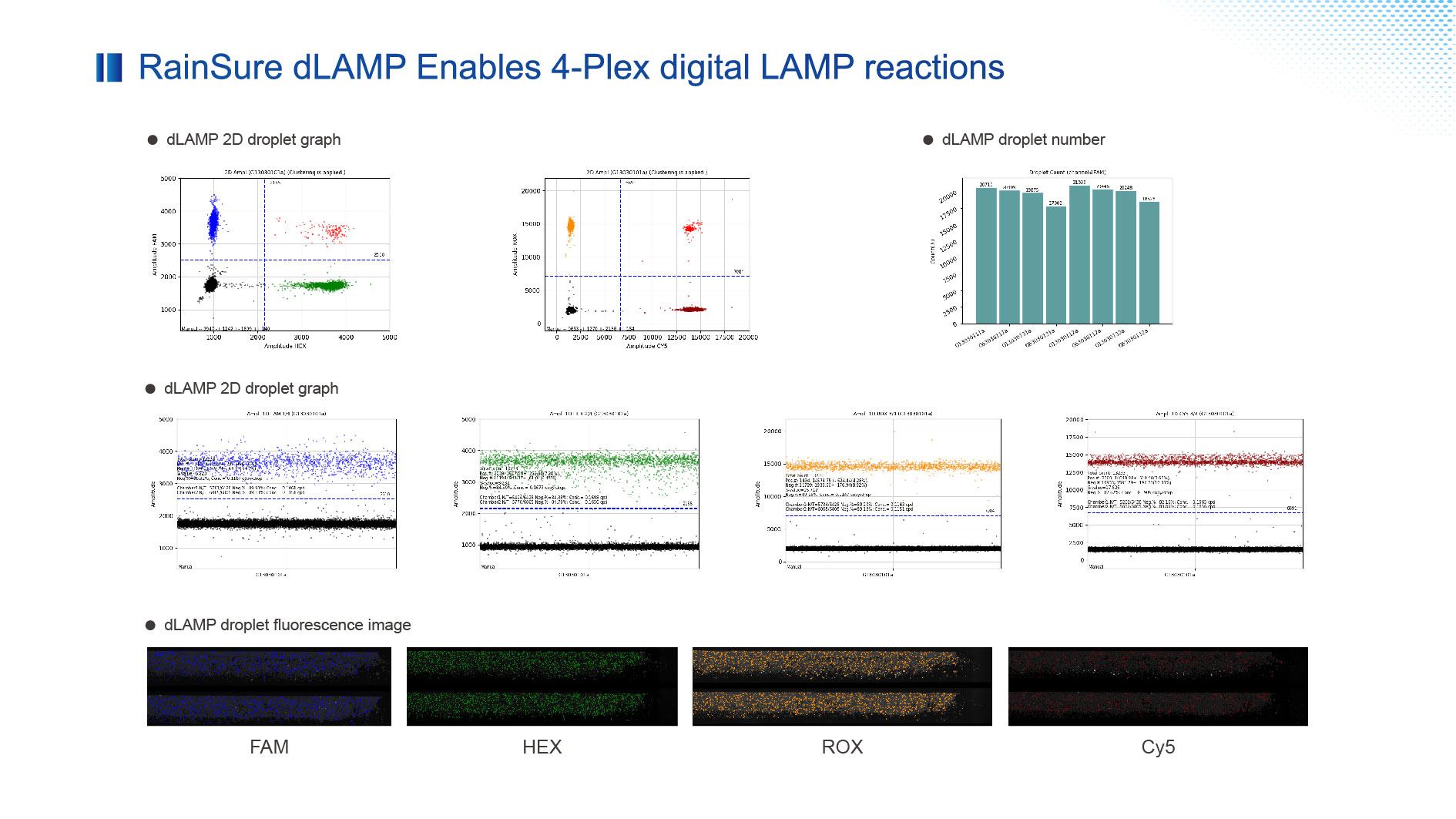 Introdução ao DDLAMP MASTEMIX da Rainsure Scientific