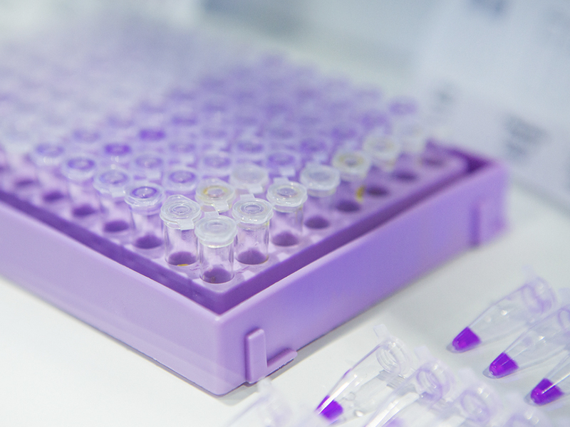 Sistema de PCR digital, dispositivo portátil de PCR