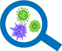 Detecção de patógenos microbianos